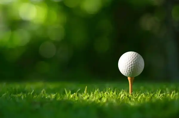 Golf Features